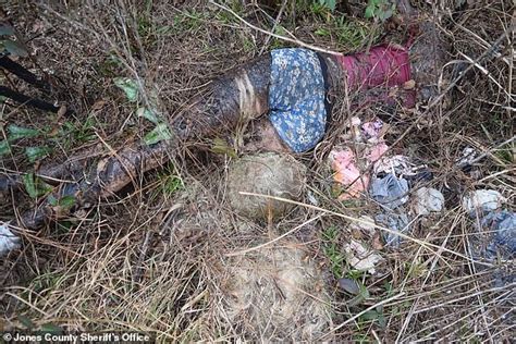 female body found along hiking trail is actually a life sized sex doll daily mail online