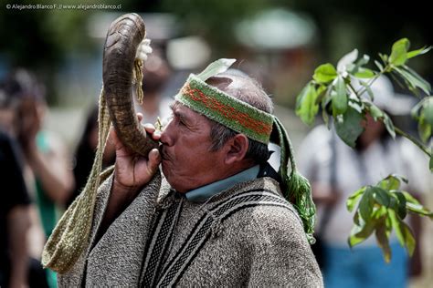 Mapuche Culture And Traditions 4 Day Tour Elicura Valley
