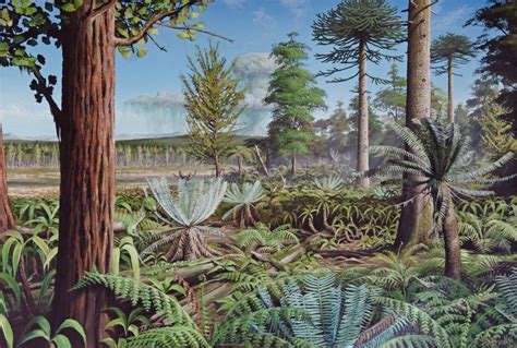 A Forest On The Antarctic Peninsula During The Cretaceous Period Of Around 120 Million Years Ago