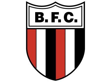 Bragantino e fluminense grupo e: botafogo fc pb Logo PNG Transparent Logo - Freepngdesign.com