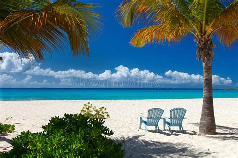 Beautiful Caribbean Beach Stock Image Image Of Paradise 69651393