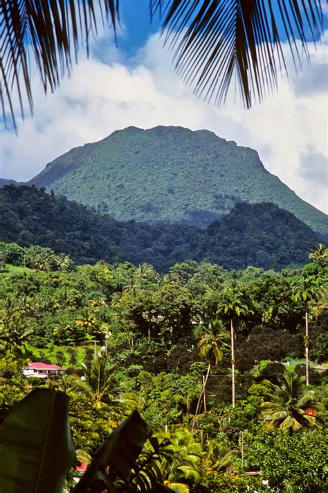 best things to do in dominica the caribbean s ‘nature island condé nast traveler