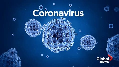 Coronavirus Where Did It Come From And How Did We Get Here National