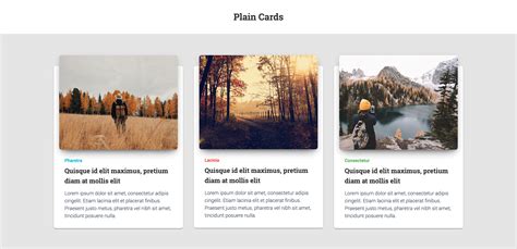 Check out best free bootstrap cards examples: Modern - Responsive Bootstrap 5 Cards by adamthemes ...