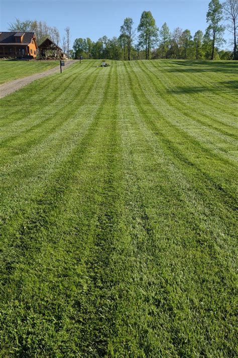 How To Stripe A Lawn Like A Pro The Simple Secrets For Perfect Stripes