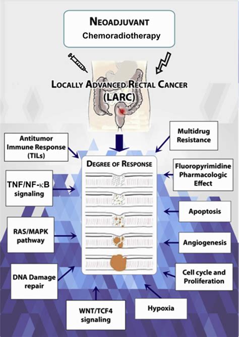 Biomarkers And Molecular Imaging As Predictors Of Response To