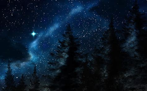 1080p Free Download Pine Tree Forest On Starry Winter Night Stars
