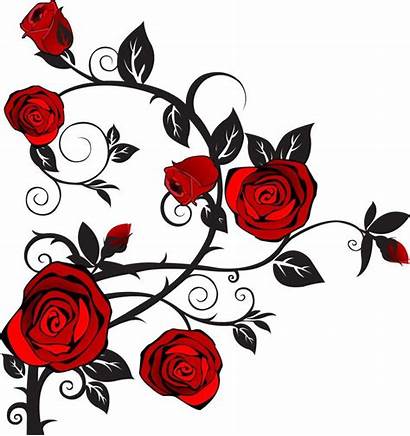 Rose Roses Clipart