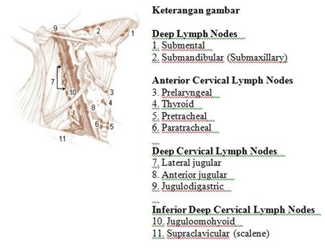 Dr Herry Setya Yudha Utama Spb Finacs Mhkes Ics Diagnosis And