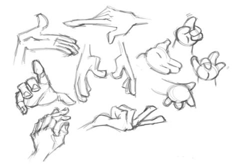 Hands Cartoon Drawing How Fingers Joints Palms Human Anatomy Pictures