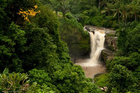 Download Wallpaper Tegenungan Waterfall Bali Indonesia Bali Free