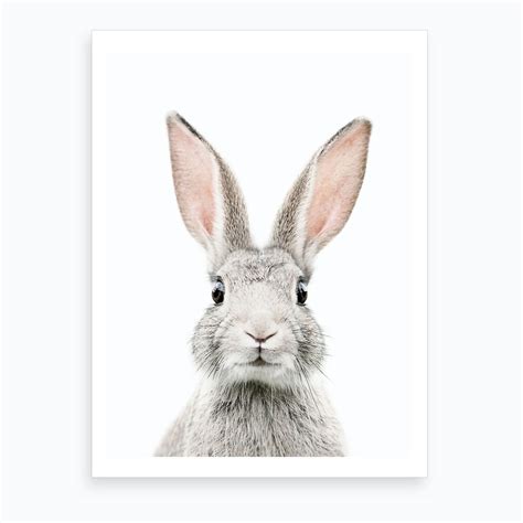 Actually it's really kitty face, as this is our cat bunny (as a kitten). Bunny Face Art Print by Sisi and Seb - Fy