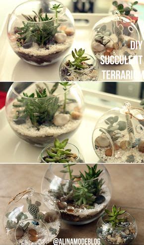 Air gens are excluded as they're instant. HOW TO MAKE A SUCCULENT & CACTI TERRARIUM // CÓMO HACER UN ...