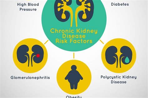 10 Possible Causes Of Kidney Pain Facty Health