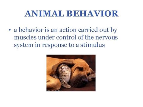 Animal Behavior Campbell Reece Chapter 51 Animal Behavior