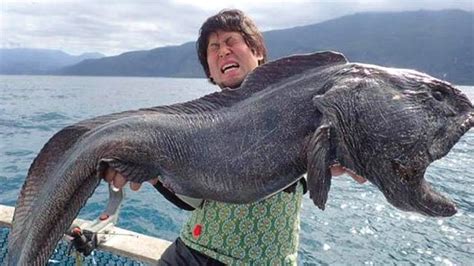 The Biggest Fish Ever Caught Will Terrify You Youtube