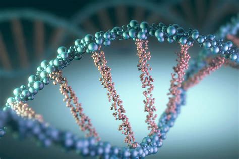 10 Interesting Facts About Dna