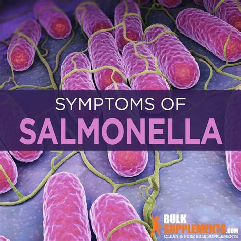 salmonella salmonellosis symptoms causes and treatment
