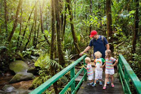 Amazon Rainforest Facts For School And Kids Cyberparent