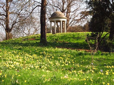 Daffodils At The Temple Of Aeolus Kew Gardens Kew Gardens Daffodils