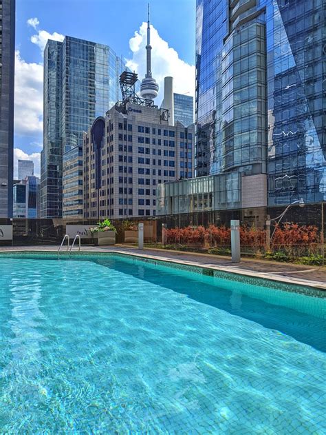 Hilton Toronto Pool Pictures And Reviews Tripadvisor