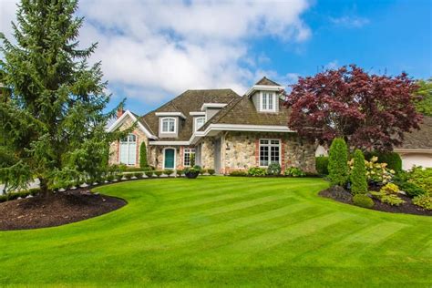 9 Different Types Of Yard Grass For The Perfect Lawn