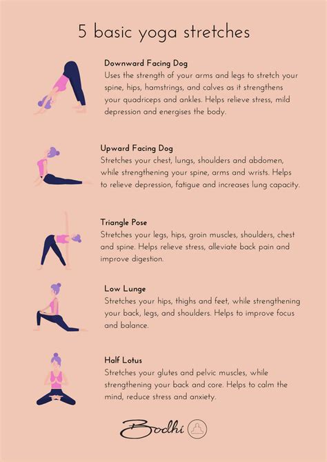 5 Basic Yoga Stretches