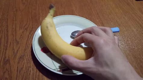 In the latter, make sure to check on them frequently. How to eat a banana #banana - YouTube