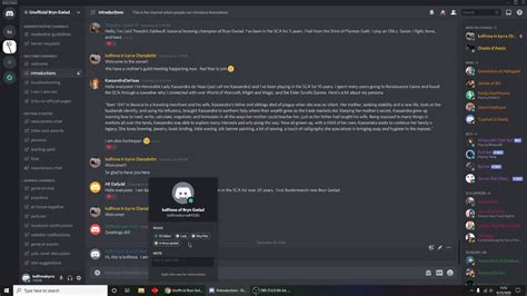 Overview Of Discord The Bg Discord Server And Important