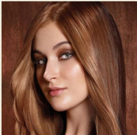 Rich Brown Hair Dye Color Picture Locks Pinterest