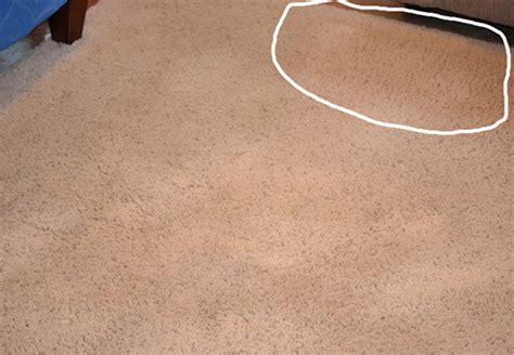How To Get Black Spots Out Of Carpet Carpet Points