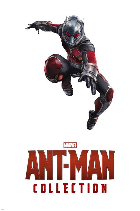 Ant Man Collection Posters — The Movie Database Tmdb