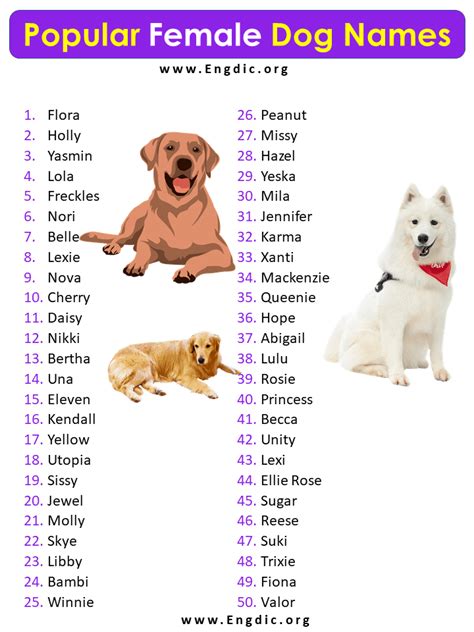 Popular Female Puppy Names Cute And Fancy Engdic