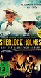 Sherlock Holmes: Incident at Victoria Falls (TV Movie 1992) - IMDb