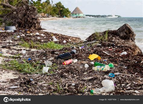 Plastic Garbage Washed Onto Caribbean Beach Stock Photo Ead