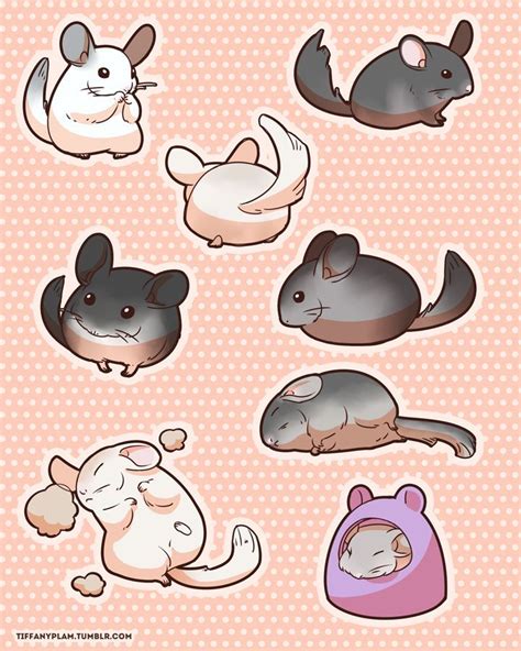 These Chinchilla Stickers Are So Cool Chinchilla Cute Cute Kawaii