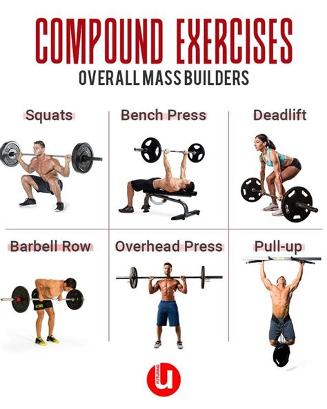 Compound Workouts Blog Dandk