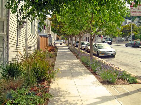Sidewalk Landscaping Sf Better Streets