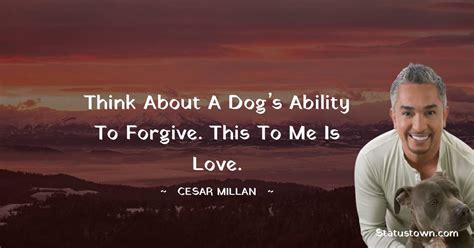 Think About A Dogs Ability To Forgive This To Me Is Love Cesar
