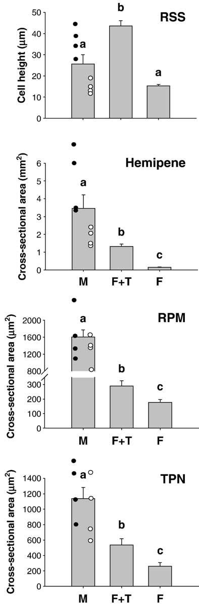 Mean Fsem Values For Renal Sex Segment Rss Cell Height Hemipene