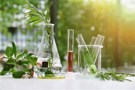 Plant Science Lab Stock Photos Pictures And Royalty Free Images Istock