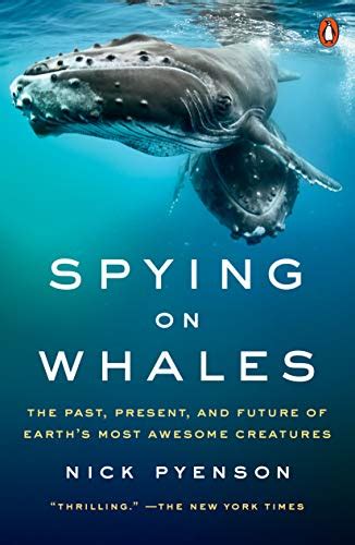 The Best Books About Whales That Explore Their Histories Dialects And