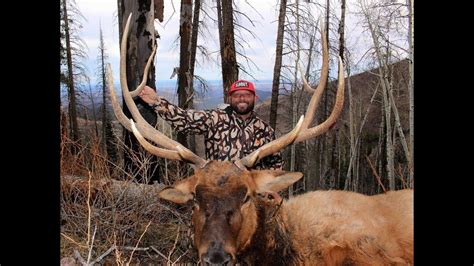 Zac Griffith 1036 Yard Elk Kill Shot Youtube