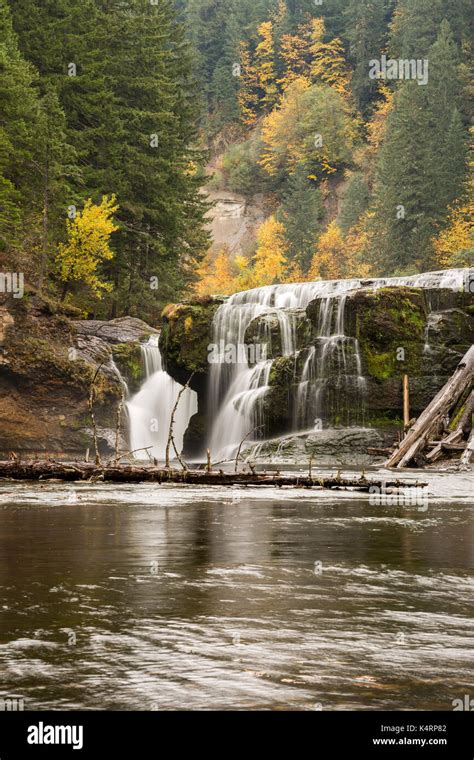 Lower Lewis Falls Located In The Ford Pinchot National Forest