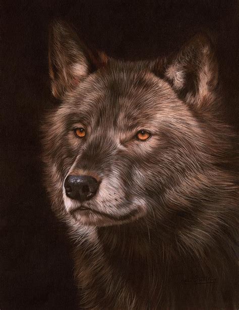 Black Wolf Painting By David Stribbling
