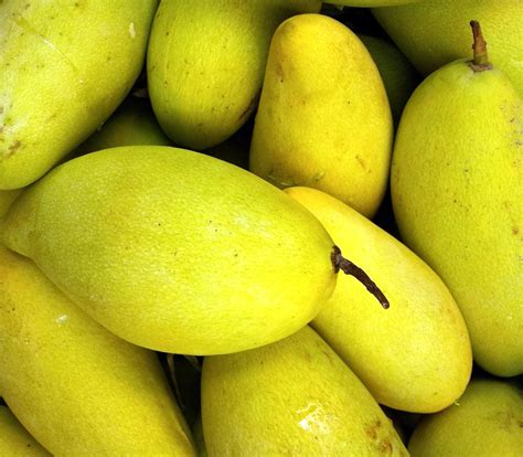 Mango In Pile Free Stock Photo - Public Domain Pictures