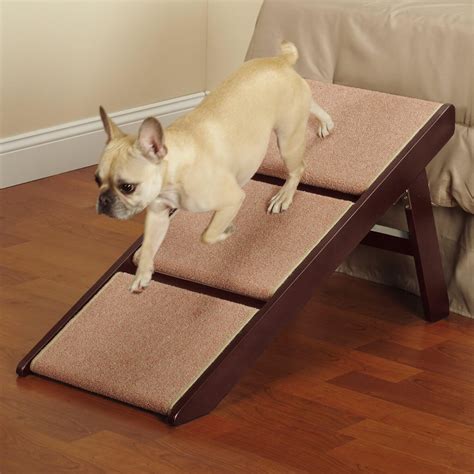 5 Best Dog Stairs And Steps For Dogs — Buying Guide And Reviews