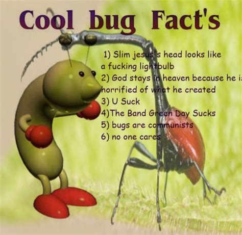 Cool Bug Facts Rcoolbugfacts