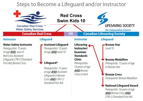 Lifesaving Society Levels Compared To Red Cross Hiderdesign