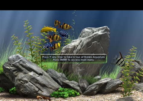 Dream Aquarium Screensaver Download